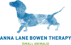 Bowen Therapy Small Animals, Anna Lane